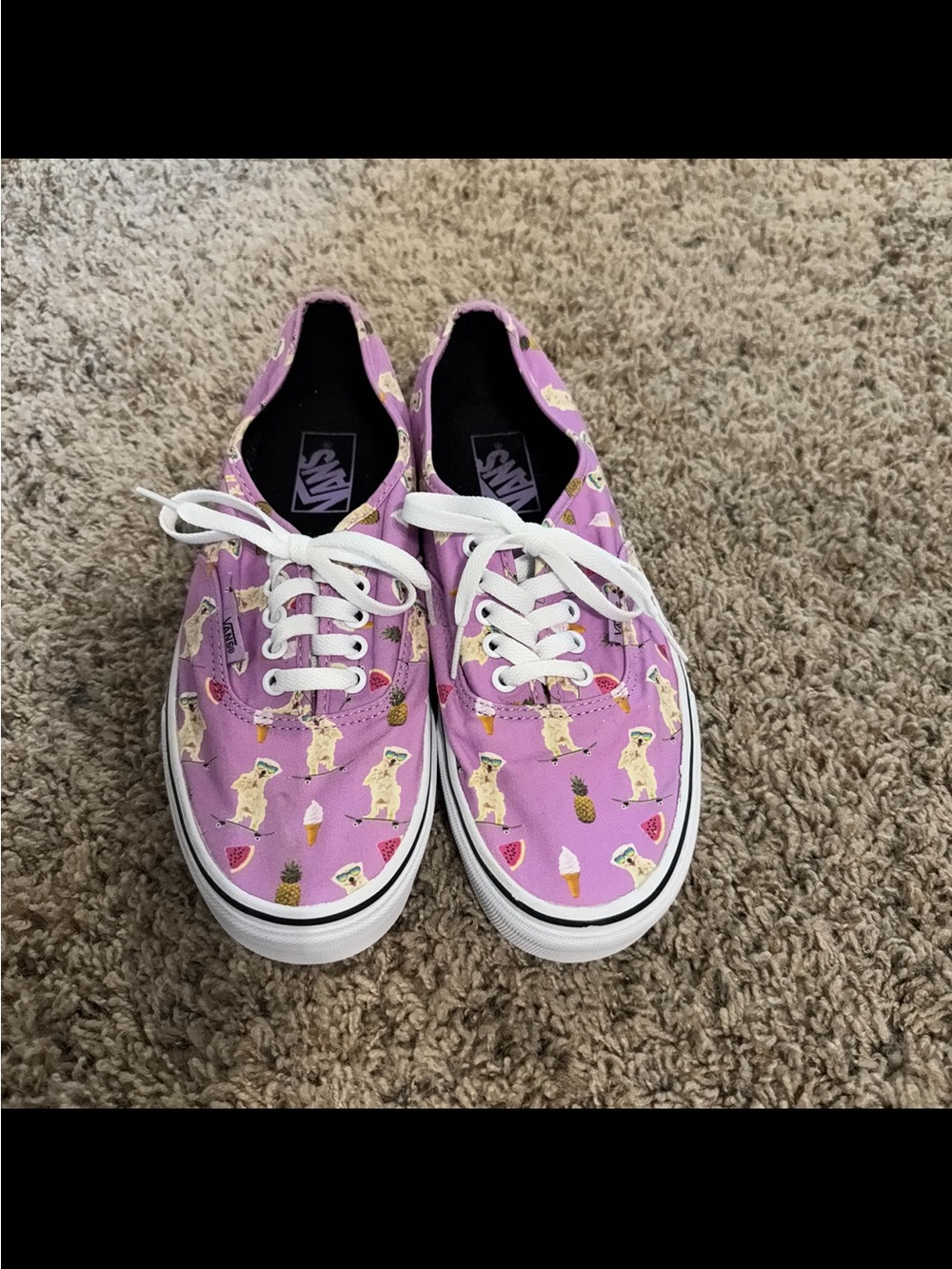New Dog & Fruit Vans